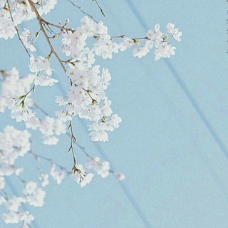 Telegram profile photo for • Отзывы 🌸