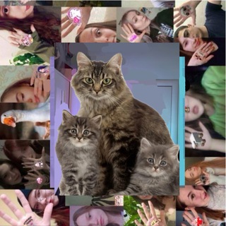 Telegram profile photo for Делаю из меди золото || Подслушано клуба