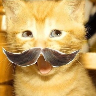 Telegram profile photo for Расенберк