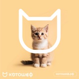 Telegram profile photo for 🤖🐱Киберволонтеры Котошеф🐱🤖