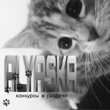 Telegram profile photo for Пруфы/отзывы аляски🐾