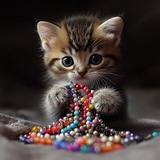 Telegram profile photo for Котье наличие