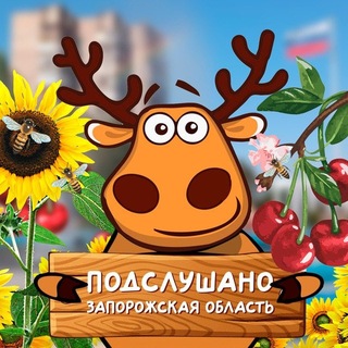 Telegram profile photo for Подслушано Запорожская область