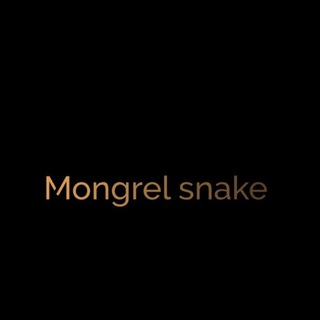 Telegram profile photo for Mongrel snake