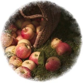 Telegram profile photo for Цветущий Сад Идунн🌿