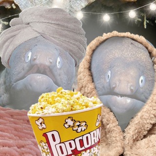 Telegram profile photo for MURENACH MEMES