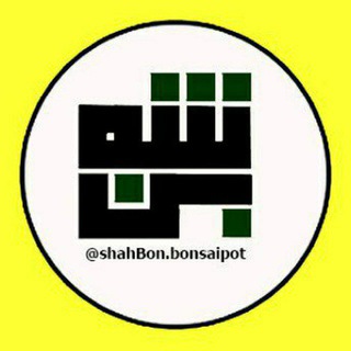 Telegram profile photo for شَه بُن