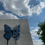 Telegram profile photo for ݺ،إنسانه تُحاول 🦋 .