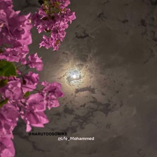 Telegram profile photo for 🏷طُمَأنِيَنَة