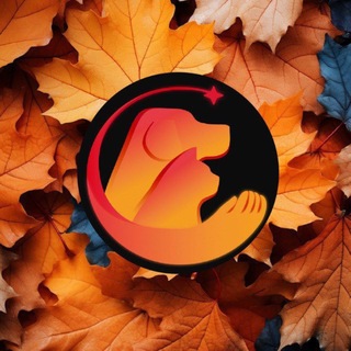 Telegram profile photo for Питомцы Жулебино