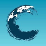 Telegram profile photo for Transition News