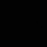 Telegram profile photo for Racist