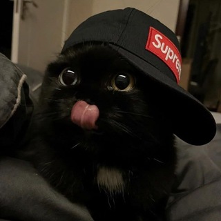 Telegram profile photo for You.