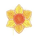 Telegram profile photo for Sunshine court
