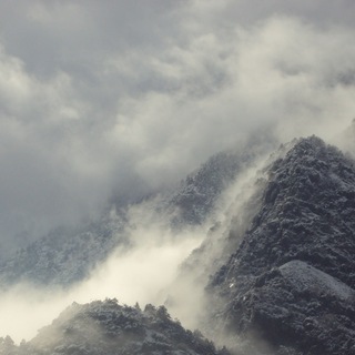 Telegram profile photo for Perennial Pyrenees