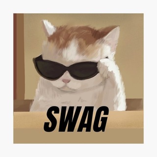 Telegram profile photo for Swag Cat