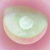 Telegram profile photo for juane&tint. ♥️