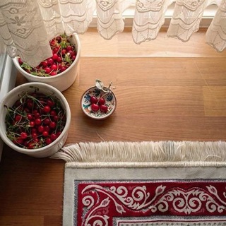 Telegram profile photo for استراحة إنسان