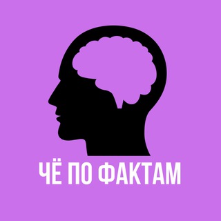Telegram profile photo for ЧЁ по ФАКТАМ
