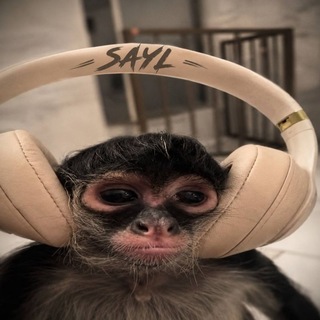Telegram profile photo for Iran