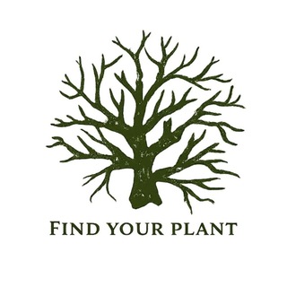 Telegram profile photo for Find Your Plant - Найди своё растение