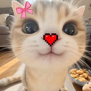 Telegram profile photo for Я люблю