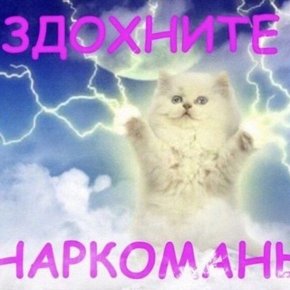 Telegram profile photo for Солевая ня