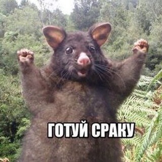 Telegram profile photo for Мемчанские с лопаты