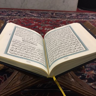 Telegram profile photo for القرآن الكريم✨.