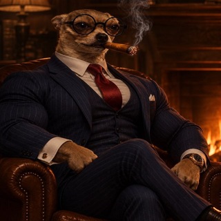 Telegram profile photo for El Muar