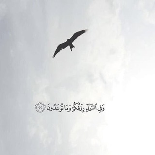 Telegram profile photo for زَحمَة شُعُور .