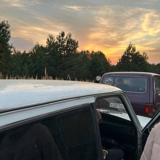 Telegram profile photo for М-ки, вы где?