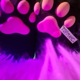 Telegram profile photo for BIO
