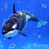 Telegram profile photo for Стикеры от Дамбо>∆<