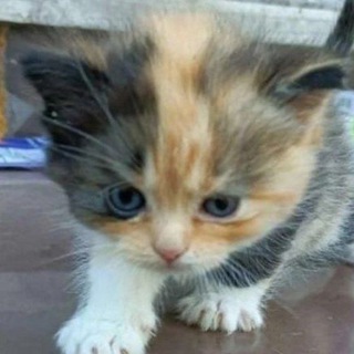 Telegram profile photo for Актуальная жизнь секундочки