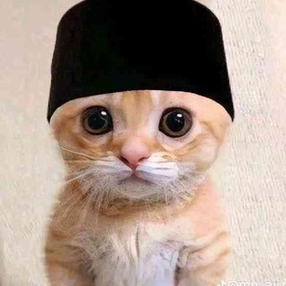 Telegram profile photo for Cukurukuk ROM