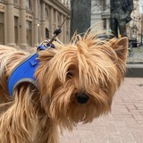 Telegram profile photo for ЖЖ