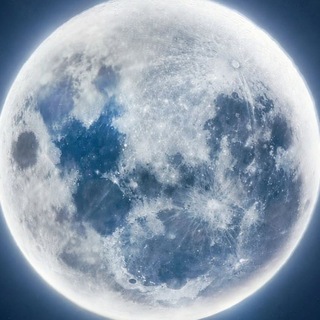 Telegram profile photo for Moonlist