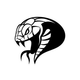 Telegram profile photo for 𝘾𝙊𝙈𝙋𝙇𝙀𝙓