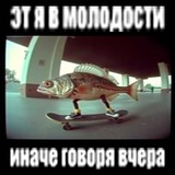 Telegram profile photo for PERFORATORPDRZ