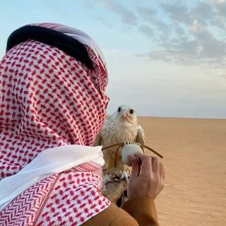 Telegram profile photo for Зᴀᴨиᴄь юнᴏɯи.
