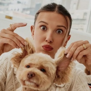 Telegram group profile photo for Millie Bobby Brown group