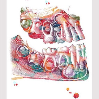 Telegram group profile photo for Доктор Настя 🦷 Chat