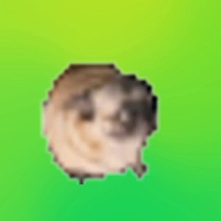 Telegram profile photo for Polito Cani