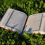Telegram profile photo for مُدْهَآمَّتَاْنِ