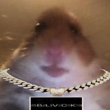 Telegram profile photo for NoName