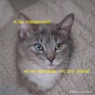 Telegram profile photo for всякие мысли🪐