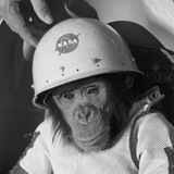 Telegram profile photo for $HAM PORTAL