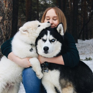 Telegram profile photo for Моё собачье дело