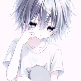 Telegram profile photo for 七夜公益破解资源分享🇨🇳